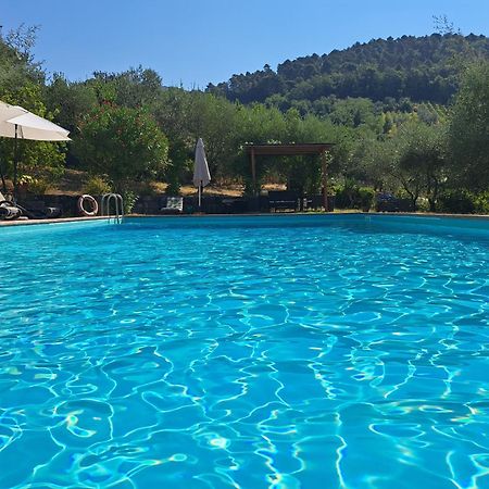 Agriturismo Poggio All'Olmo Vila Greve in Chianti Exterior foto