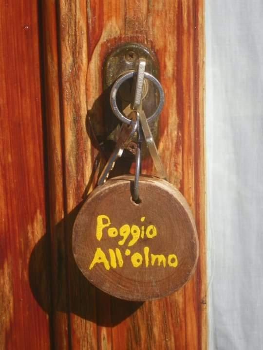 Agriturismo Poggio All'Olmo Vila Greve in Chianti Exterior foto