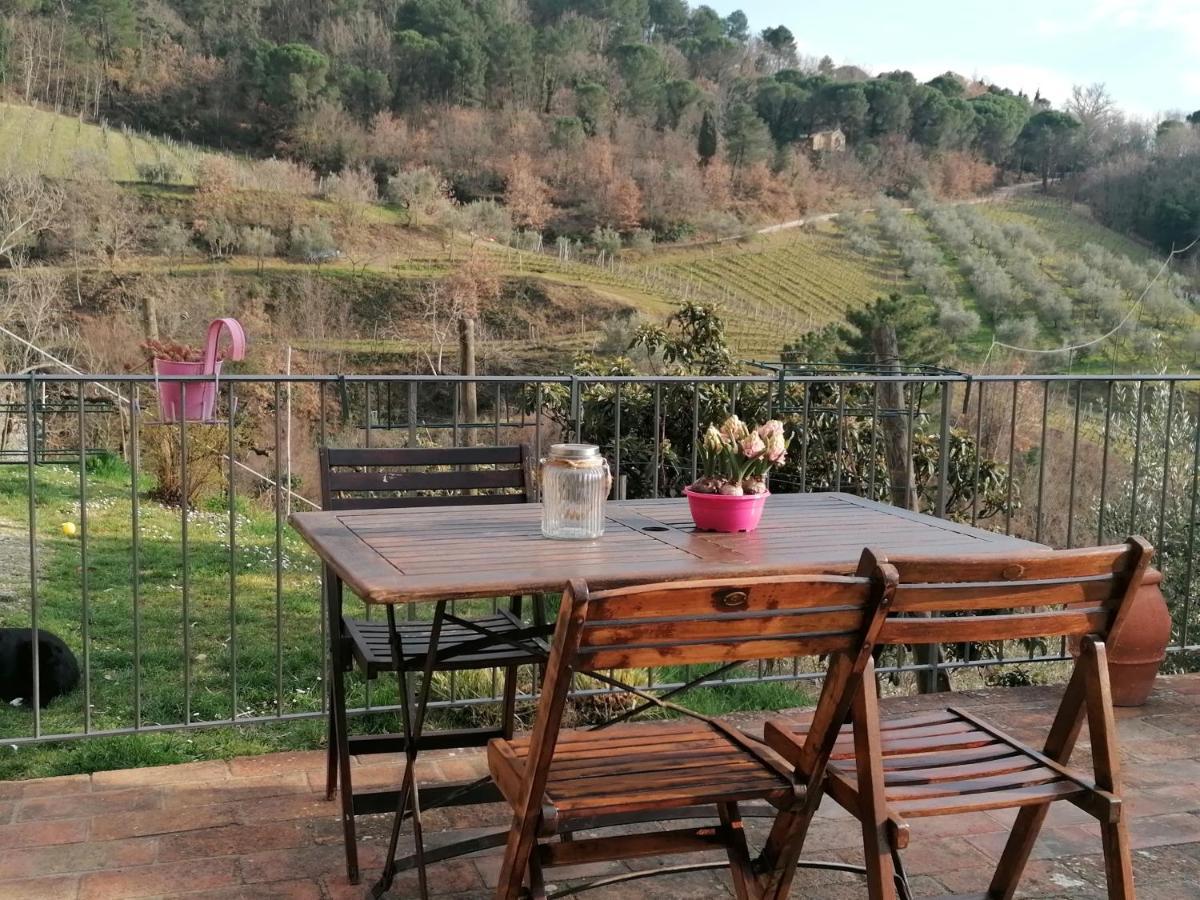 Agriturismo Poggio All'Olmo Vila Greve in Chianti Exterior foto