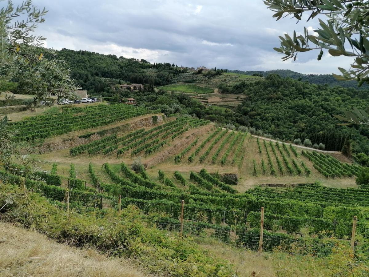 Agriturismo Poggio All'Olmo Vila Greve in Chianti Exterior foto