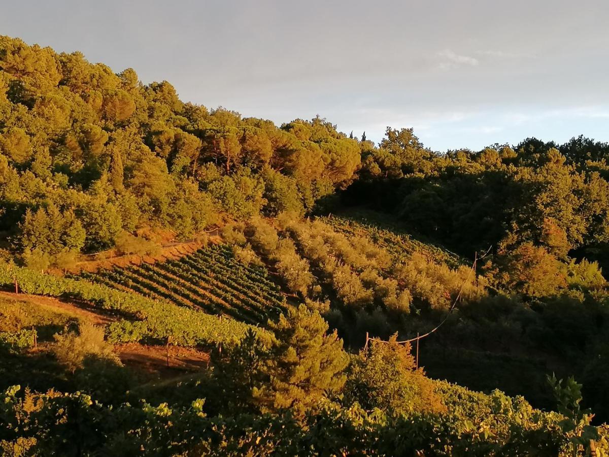 Agriturismo Poggio All'Olmo Vila Greve in Chianti Exterior foto