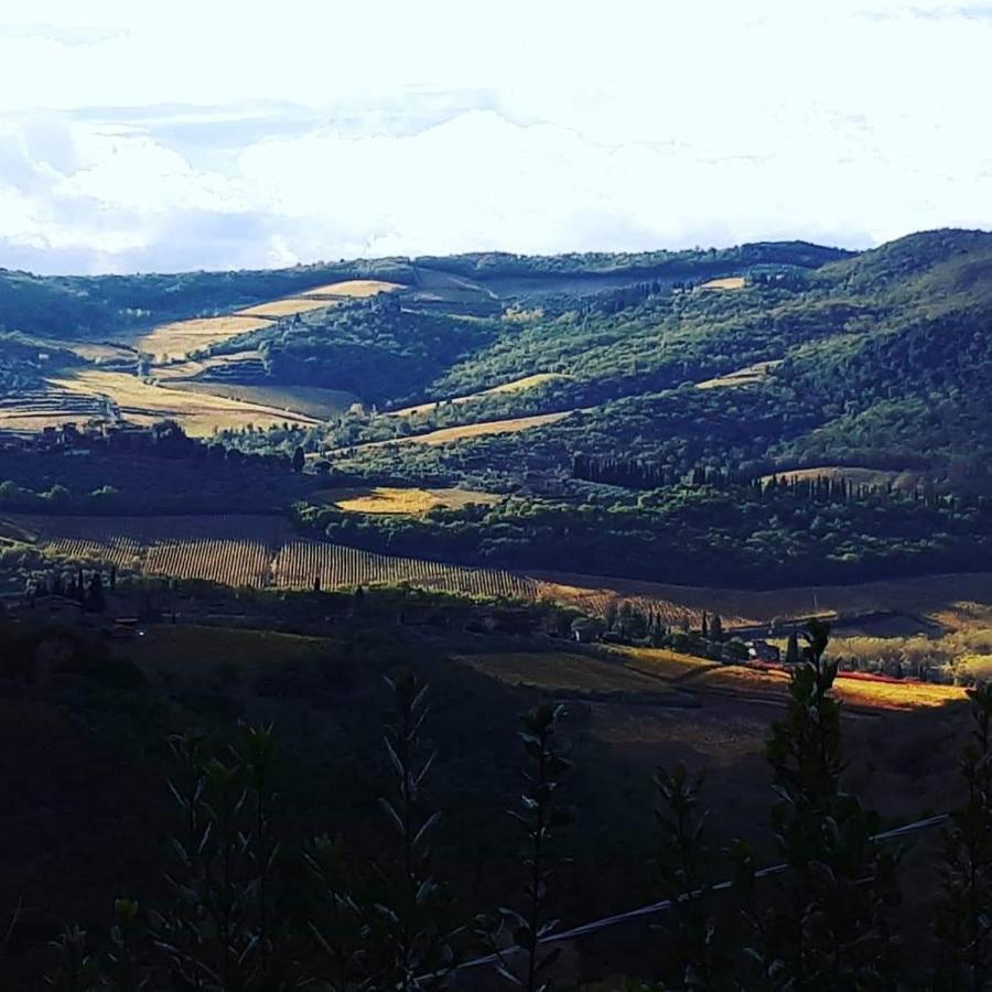 Agriturismo Poggio All'Olmo Vila Greve in Chianti Exterior foto
