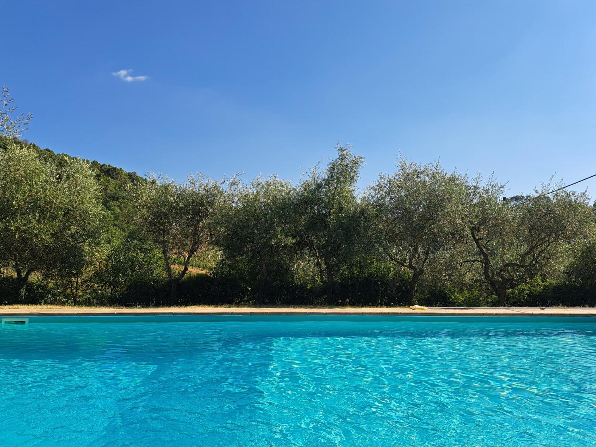 Agriturismo Poggio All'Olmo Vila Greve in Chianti Exterior foto