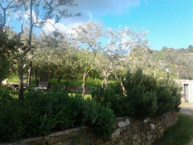 Agriturismo Poggio All'Olmo Vila Greve in Chianti Exterior foto