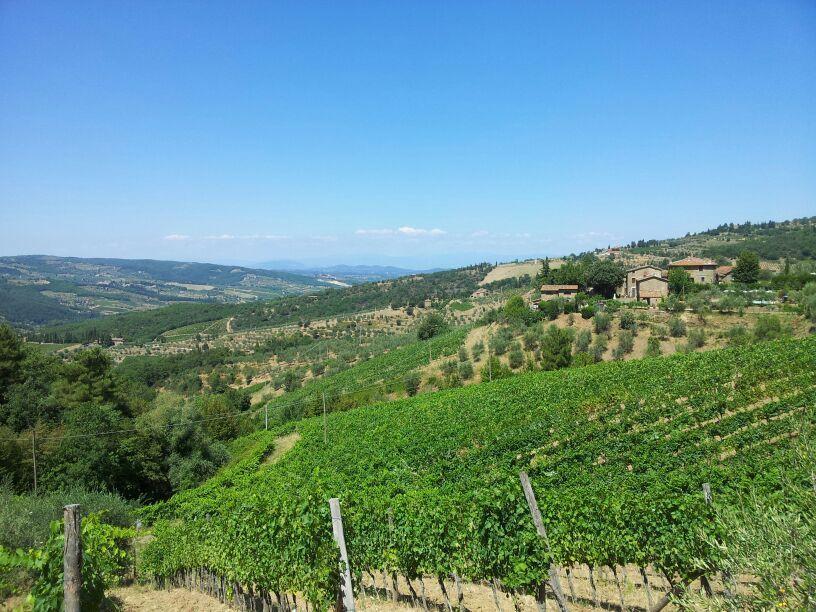 Agriturismo Poggio All'Olmo Vila Greve in Chianti Exterior foto