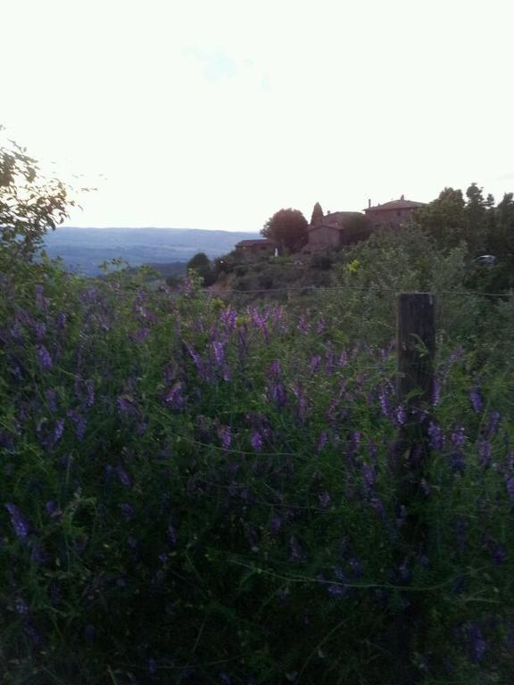 Agriturismo Poggio All'Olmo Vila Greve in Chianti Exterior foto