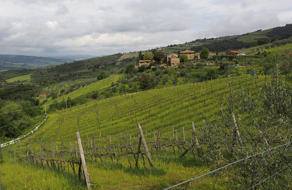 Agriturismo Poggio All'Olmo Vila Greve in Chianti Exterior foto