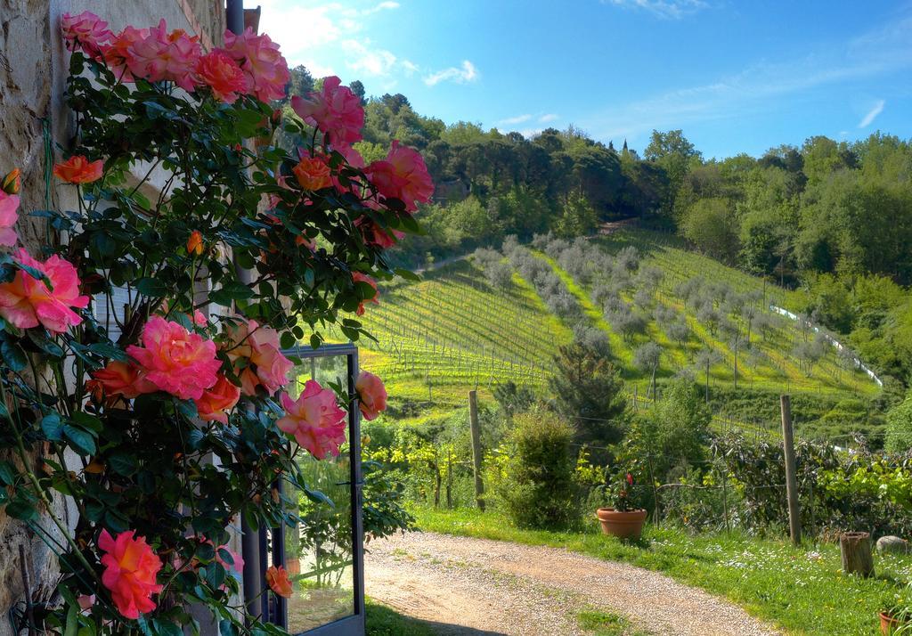 Agriturismo Poggio All'Olmo Vila Greve in Chianti Exterior foto