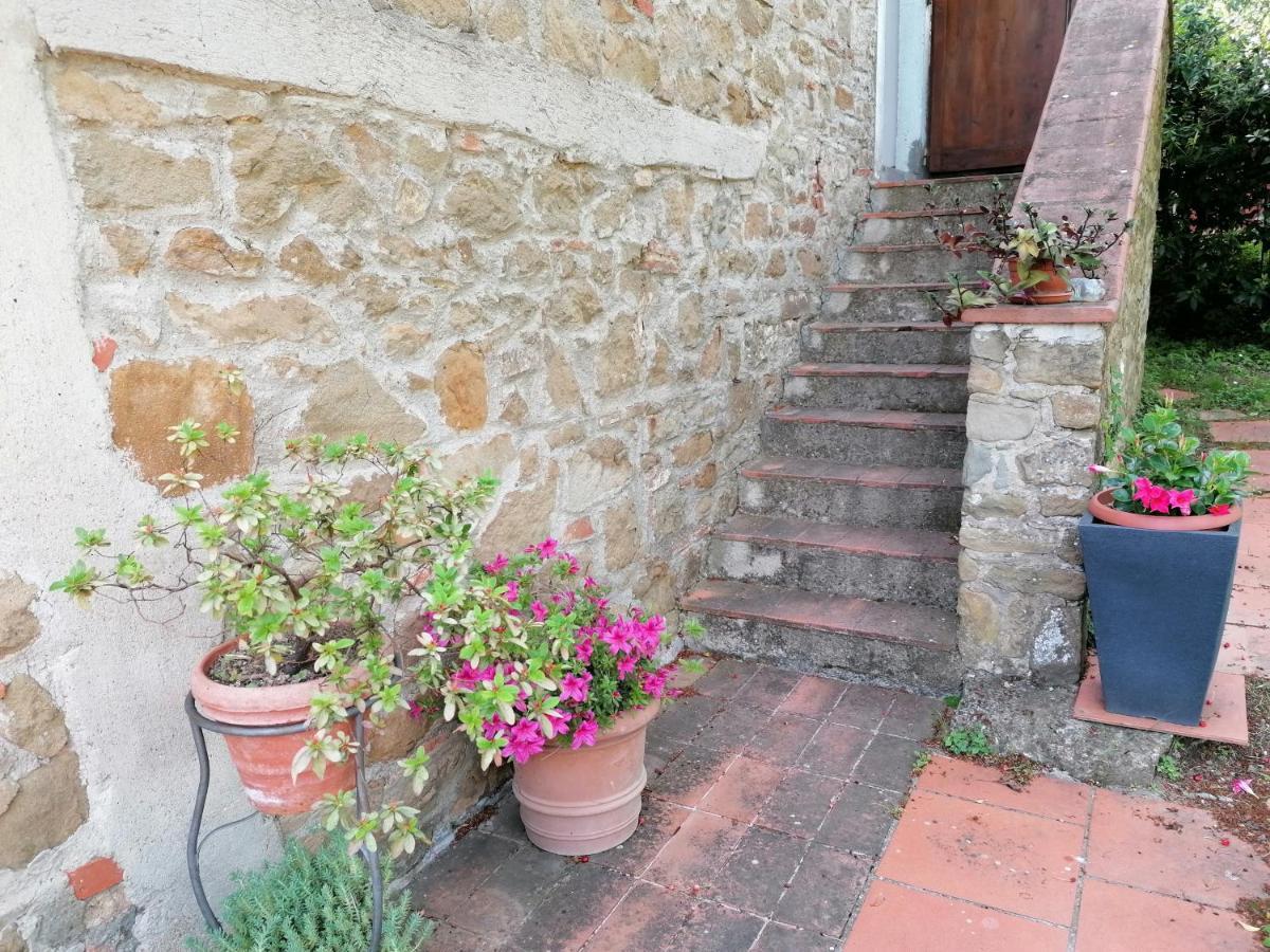 Agriturismo Poggio All'Olmo Vila Greve in Chianti Exterior foto